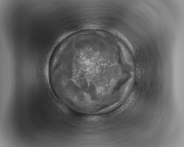 X0000103131035200809051605