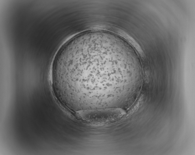 X0000103131036200809051605