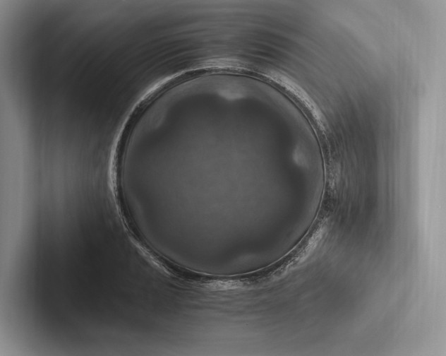 X0000103131037200809051605