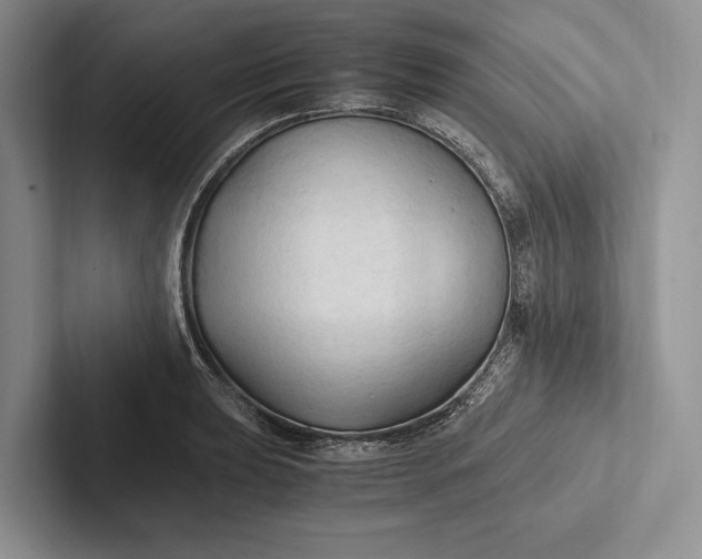X0000103131039200809051605