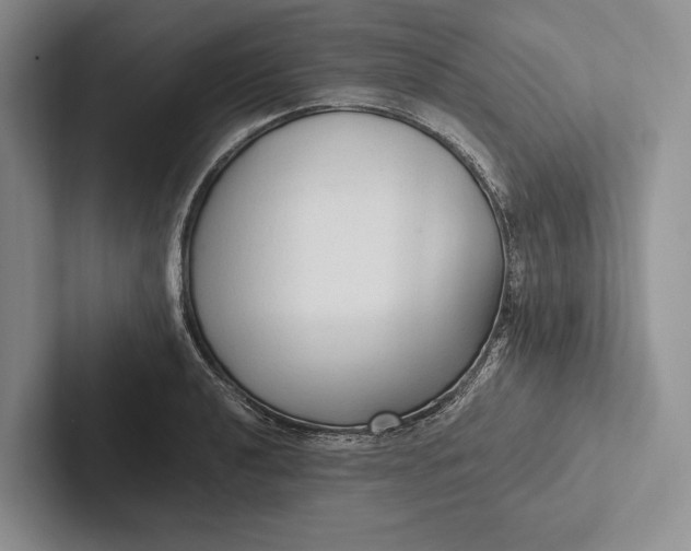 X0000103131040200809051605