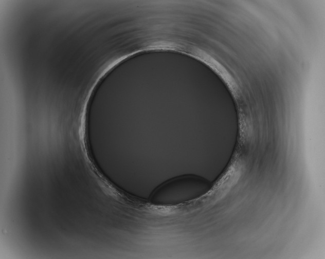 X0000103131044200809051605