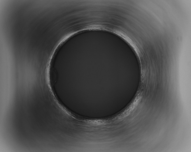X0000103131045200809051605