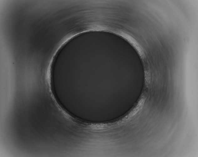 X0000103131046200809051605