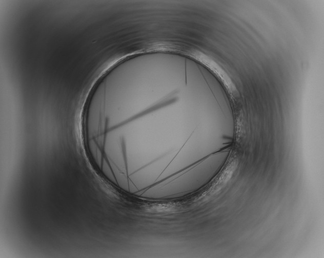 X0000103131047200809051605