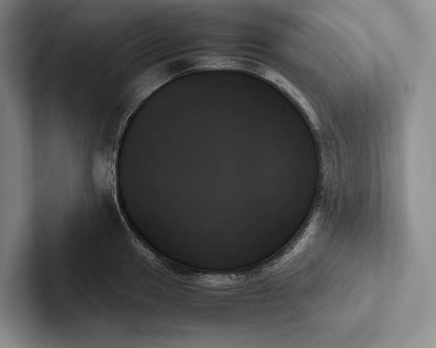 X0000103131049200809051605