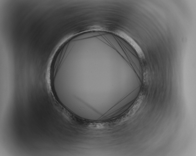 X0000103131051200809051605