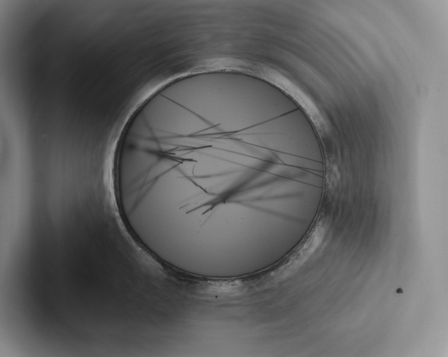 X0000103131055200809051605