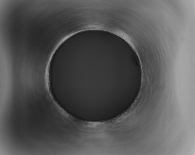 X0000103131056200809051605