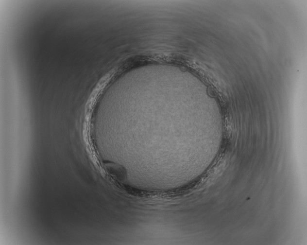 X0000103131057200809051604