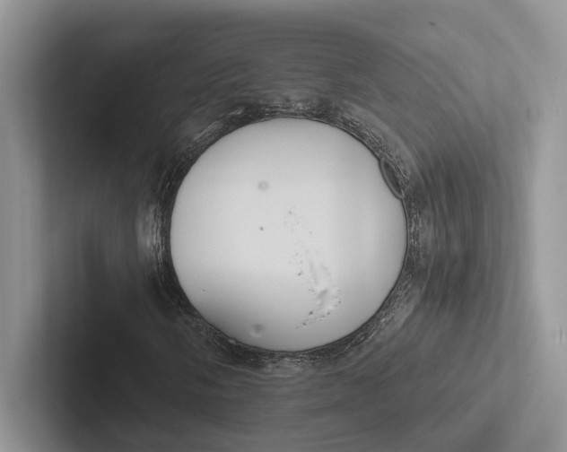 X0000103131058200809051604