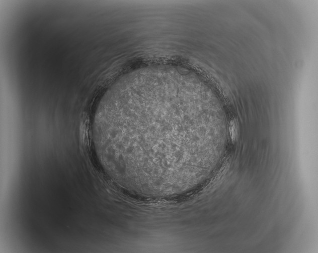 X0000103131059200809051604