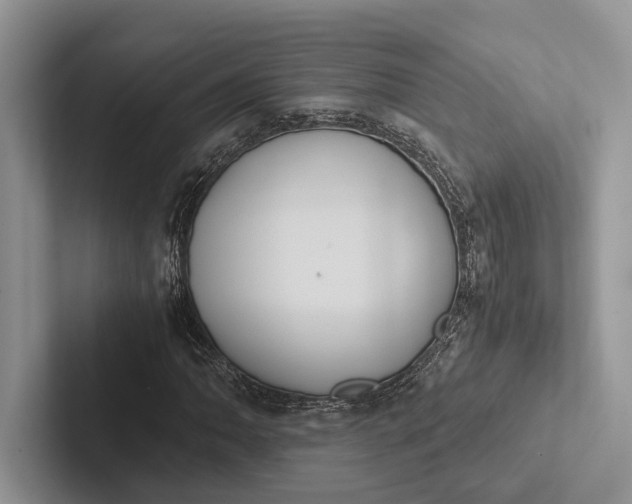 X0000103131062200809051604