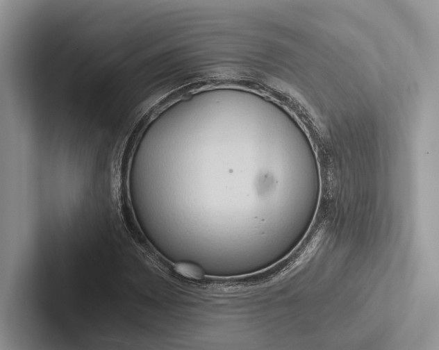X0000103131065200809051604