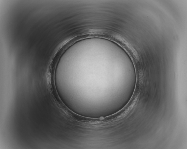 X0000103131066200809051604