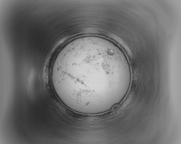 X0000103131067200809051604