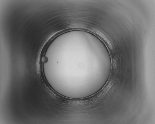 X0000103131068200809051604