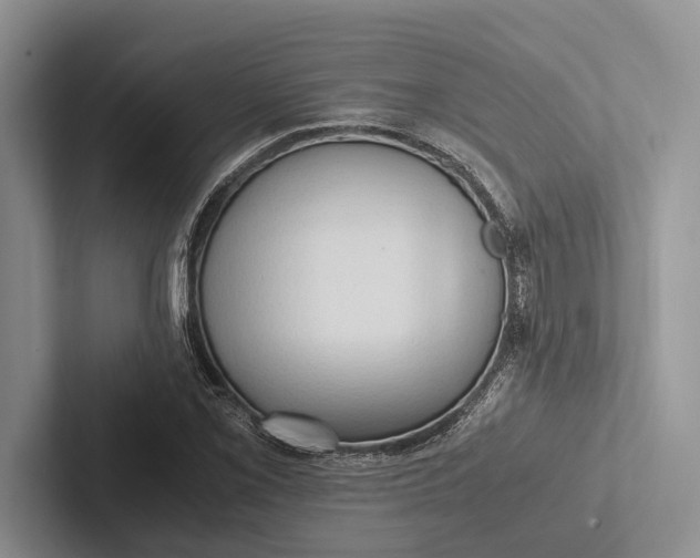 X0000103131069200809051604