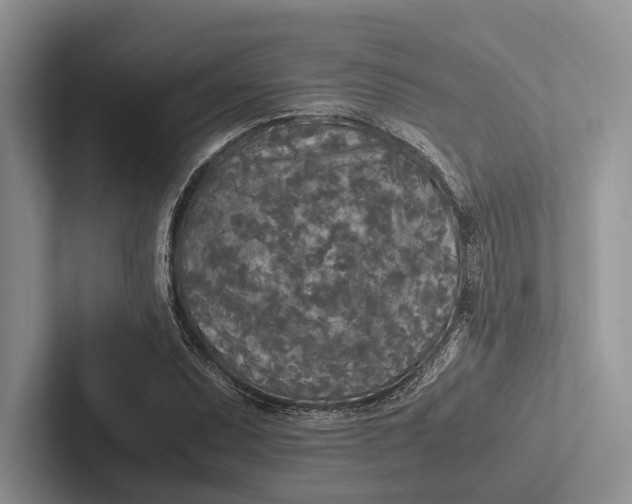 X0000103131071200809051604