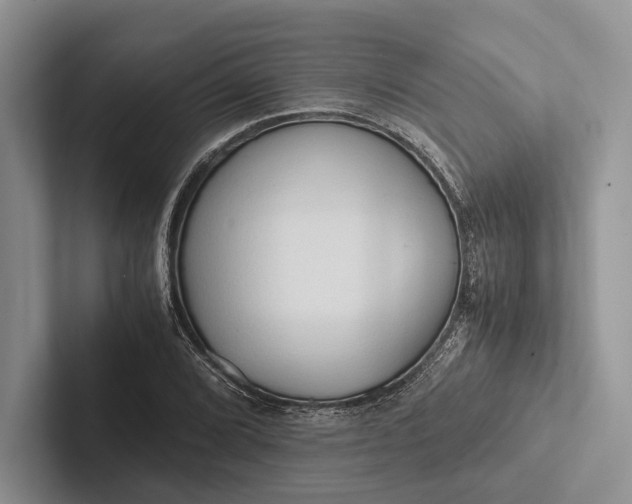 X0000103131072200809051604