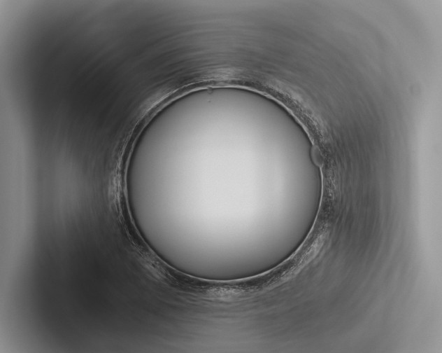 X0000103131073200809051604