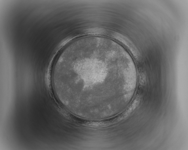 X0000103131074200809051604