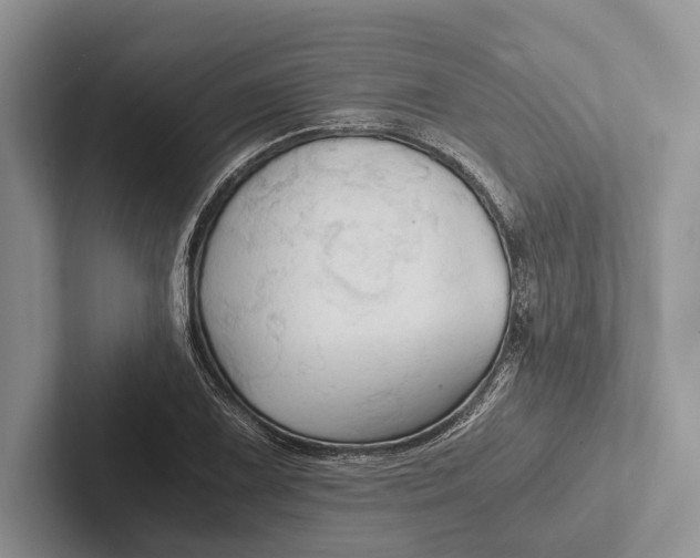 X0000103131075200809051604