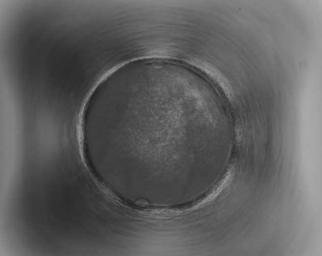 X0000103131077200809051604