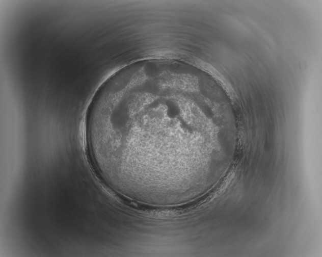 X0000103131079200809051604