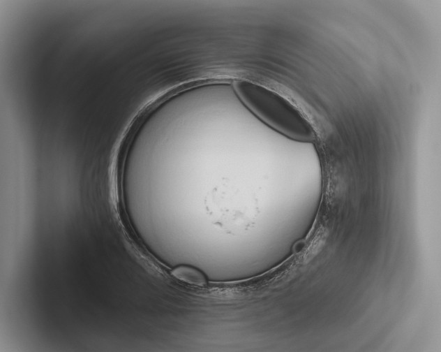 X0000103131080200809051604
