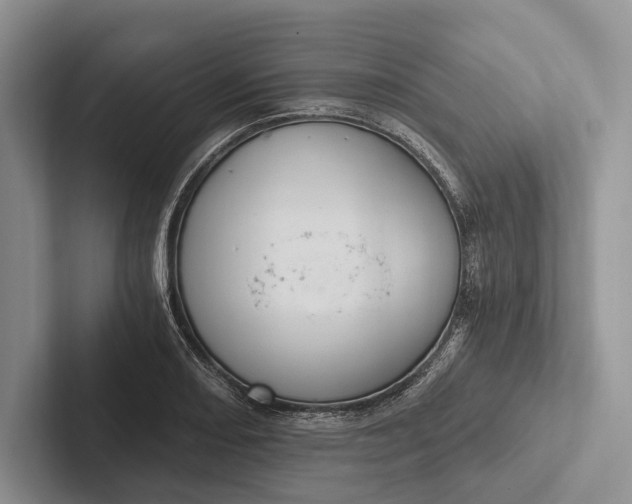 X0000103131082200809051604