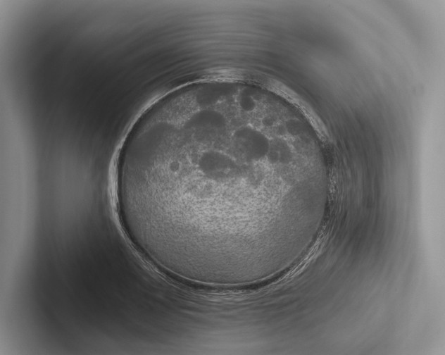 X0000103131083200809051604