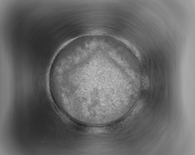 X0000103131086200809051604
