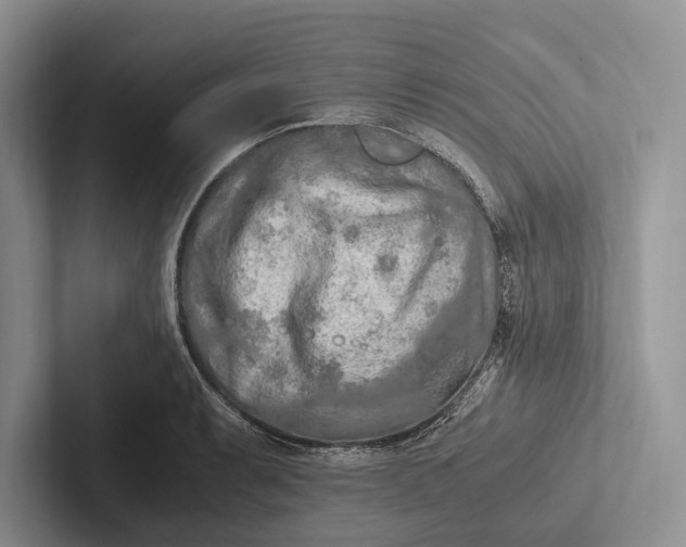 X0000103131087200809051604