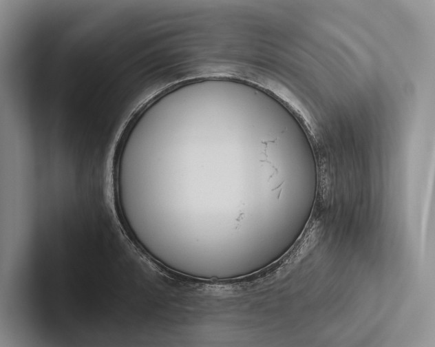 X0000103131088200809051604
