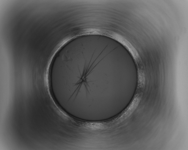X0000103131090200809051604