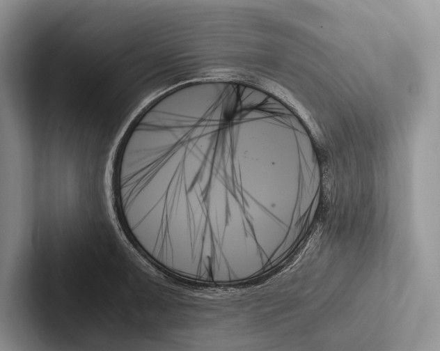 X0000103131091200809051604
