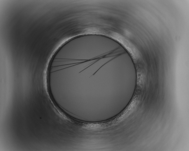X0000103131094200809051604