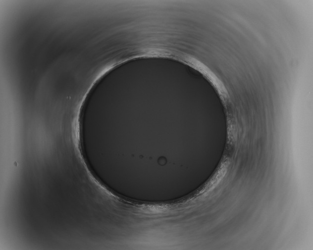 X0000103131095200809051604