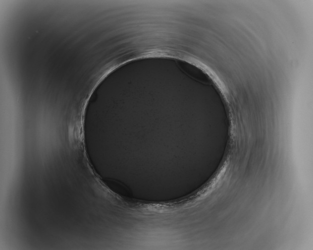 X0000103131097200809051604