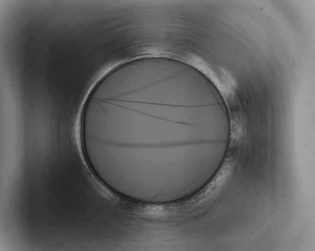 X0000103131098200809051604