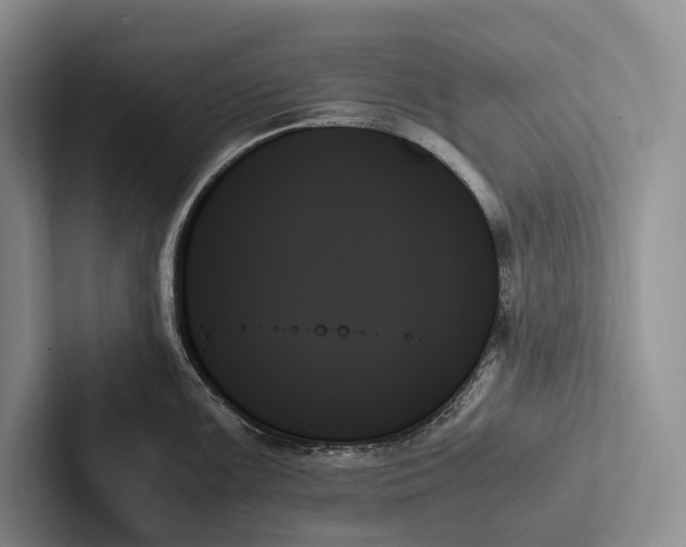 X0000103131099200809051604