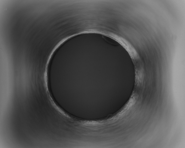X0000103131100200809051604