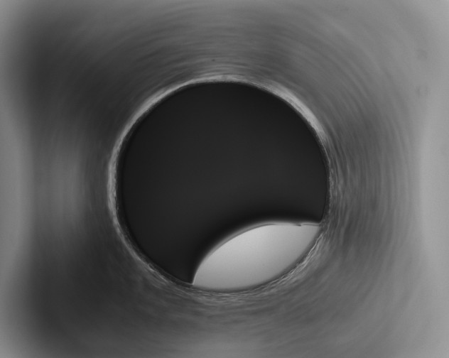 X0000103131101200809051604