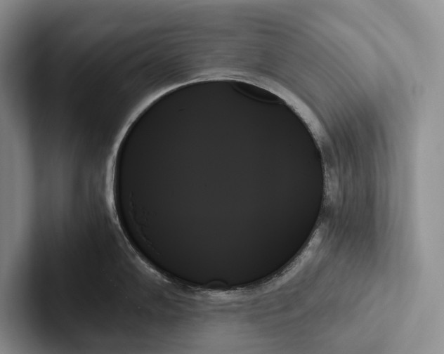 X0000103131102200809051604