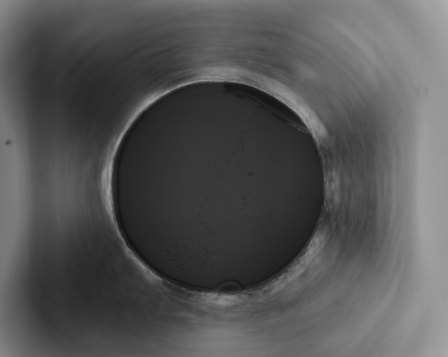 X0000103131103200809051604
