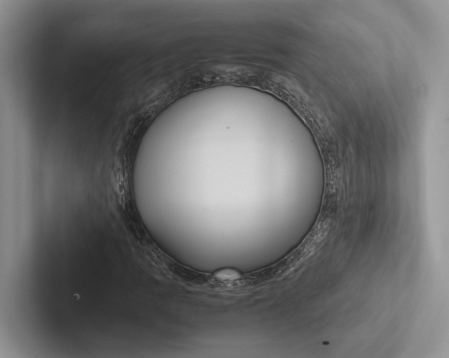 X0000103131109200809051603