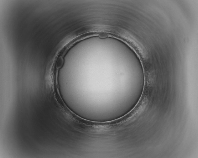 X0000103131114200809051603