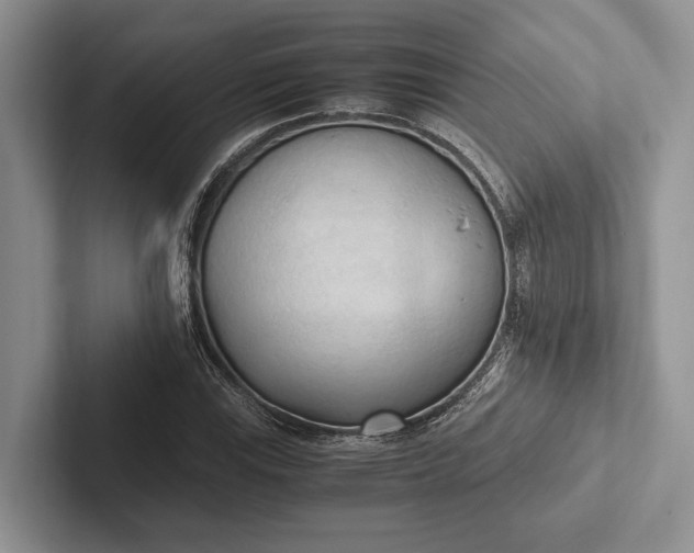 X0000103131115200809051603