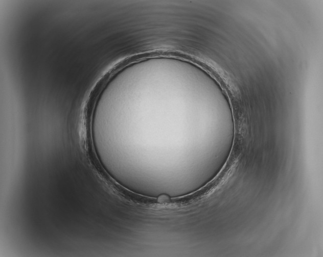 X0000103131118200809051603